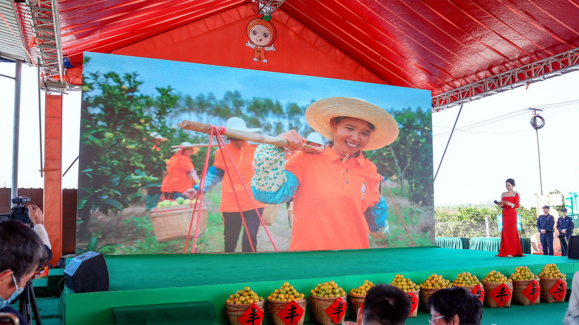 1700473986121104.jpg ZS202311180241.JPG